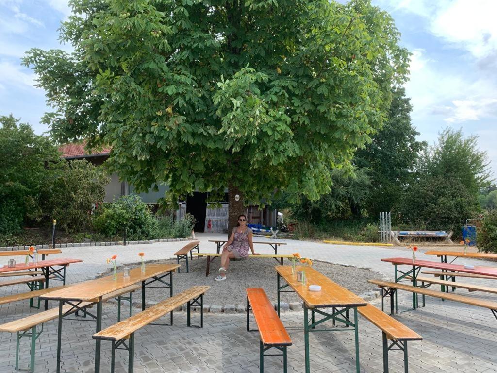 Reitschule Kronwitter Mainbernheim Exteriér fotografie